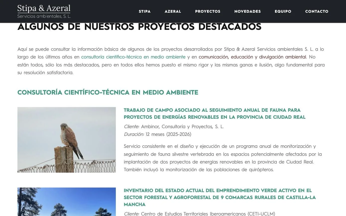 Fichas de proyecto con cliente, duración y descripción técnica