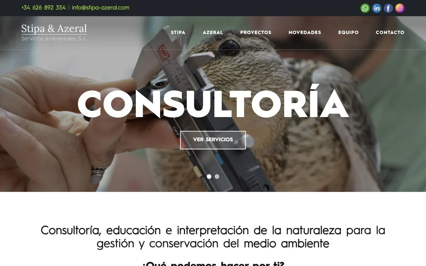 Portada de stipa-azeral.com con acceso a consultoría y educación