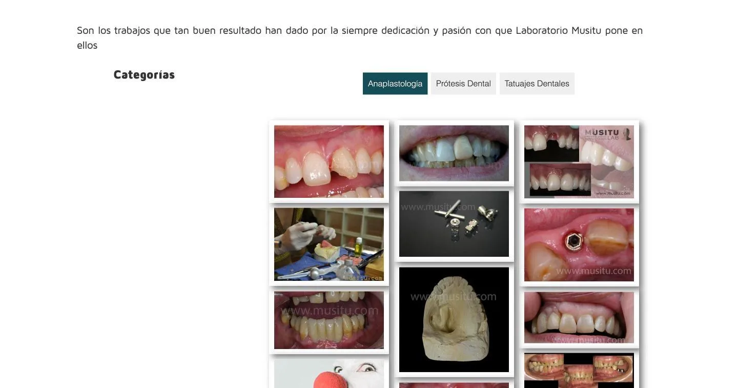 Galería filtrable; con «Anaplastología» activo se muestran casos dentales