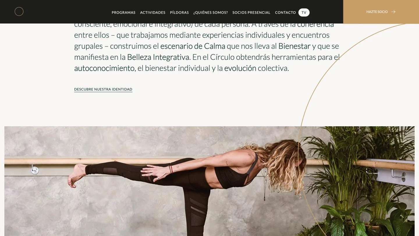 Bloque conceptual sobre el equilibrio de los cinco cuerpos