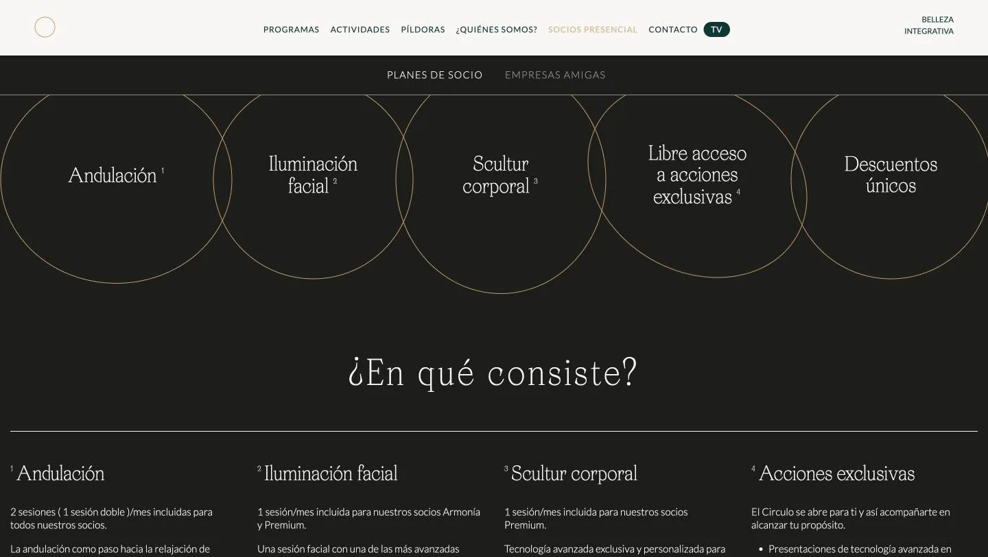 Los cinco servicios en círculos entrelazados, el mejor recurso gráfico del sitio