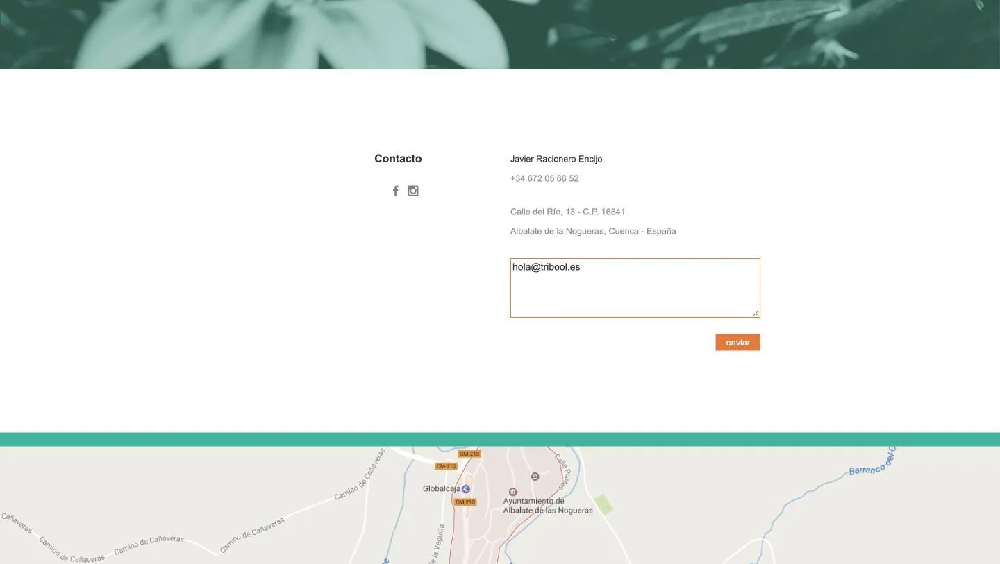Página de contacto con el campo único y el botón enviar