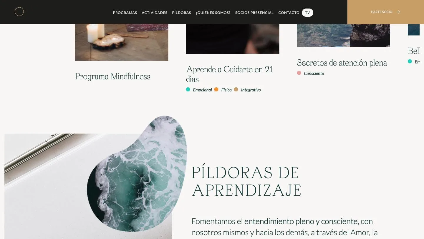 Programas con sus etiquetas de cuerpo: emocional, físico, integrativo, consciente
