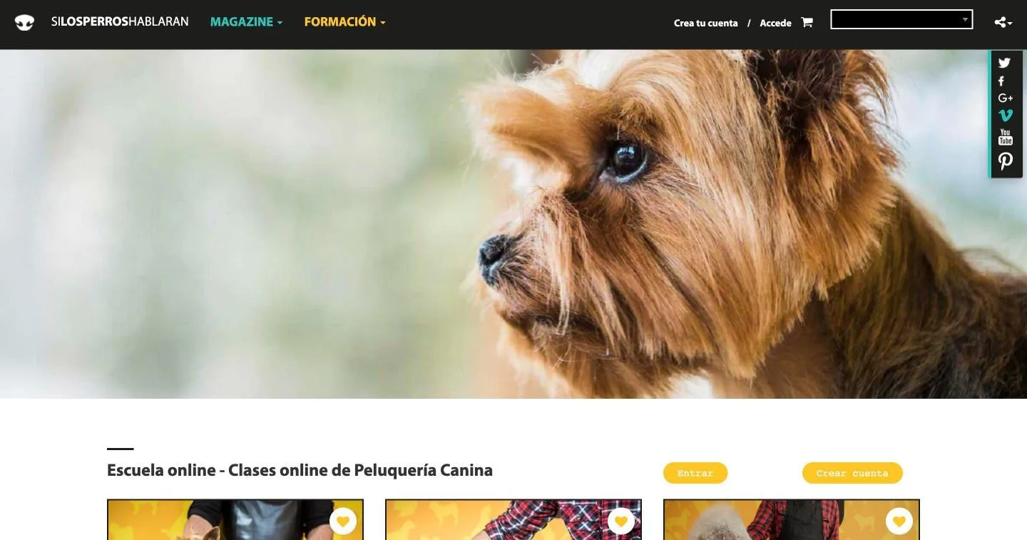 Portada de Si los perros hablaran con la cabecera y el acceso a la escuela
