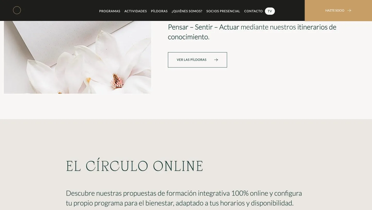 Bloque de píldoras de aprendizaje con la forma orgánica recortada