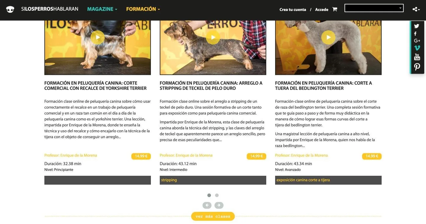 Fichas de clase con profesor, duración, nivel, etiquetas y precio