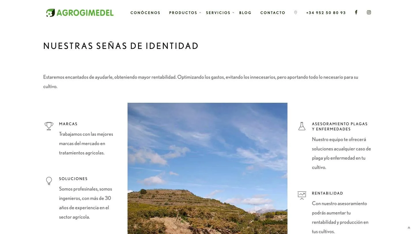 Las ocho promesas de servicio con su iconografía