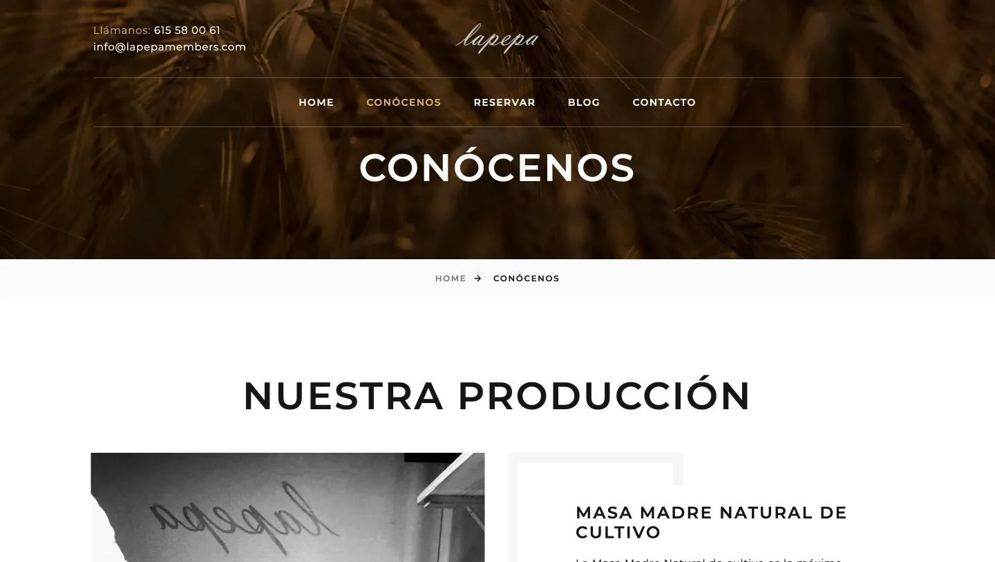 Cabecera de la página y entrada al bloque «Nuestra producción»